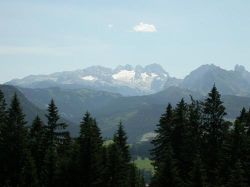 Feuerer *