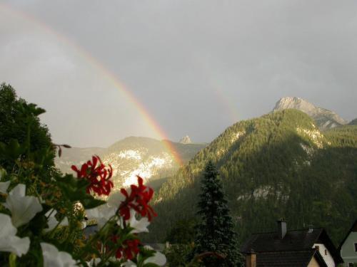 Apartment Feuerer *