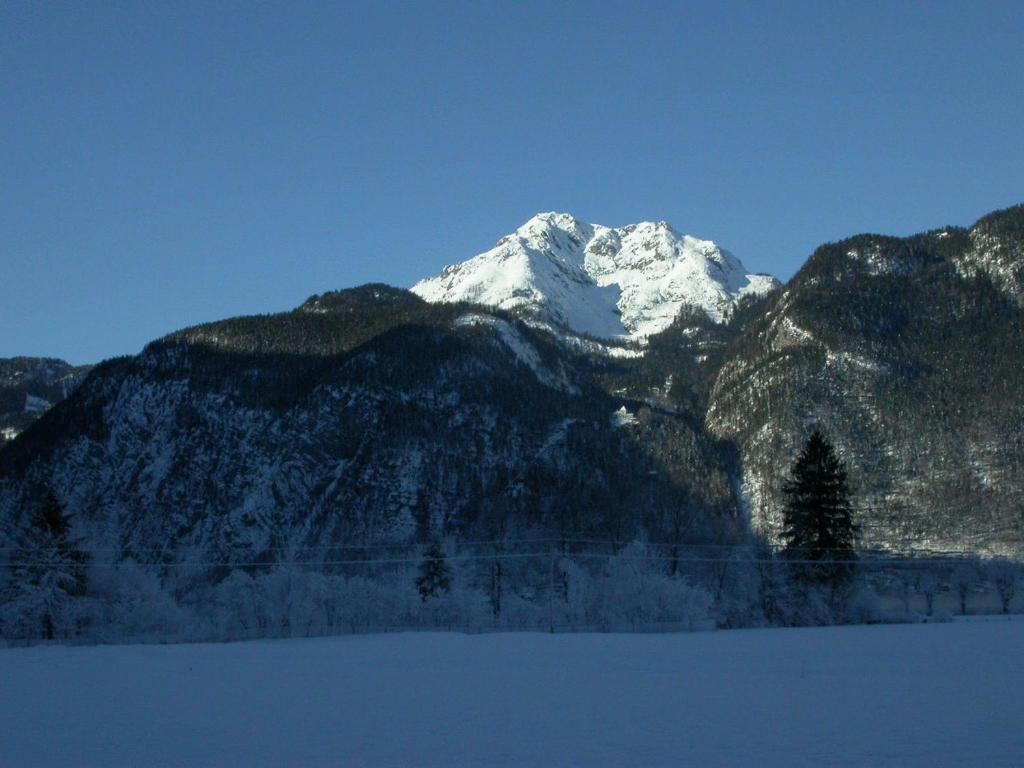 Feuerer Apartment *