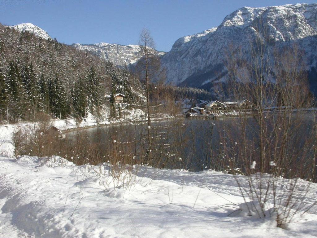 Apartment Feuerer Obertraun